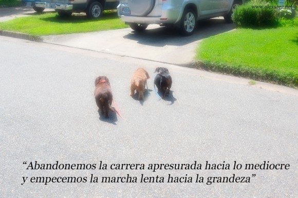 Marcha hacia la grandeza