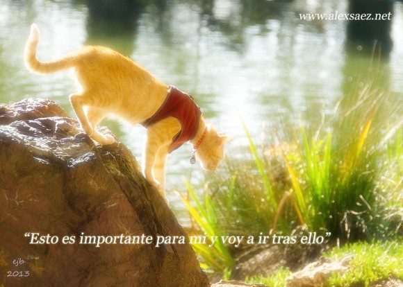 Esto es importante para mi y voy a ir tras ello